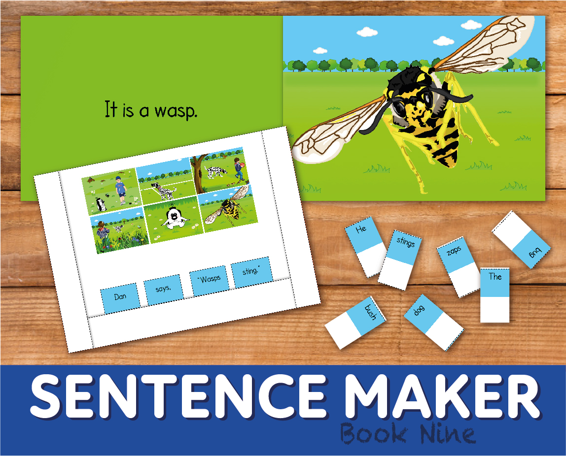 Make Sentences With The Sentence Maker: Book 9 (4-7 years) - Teacher Notes