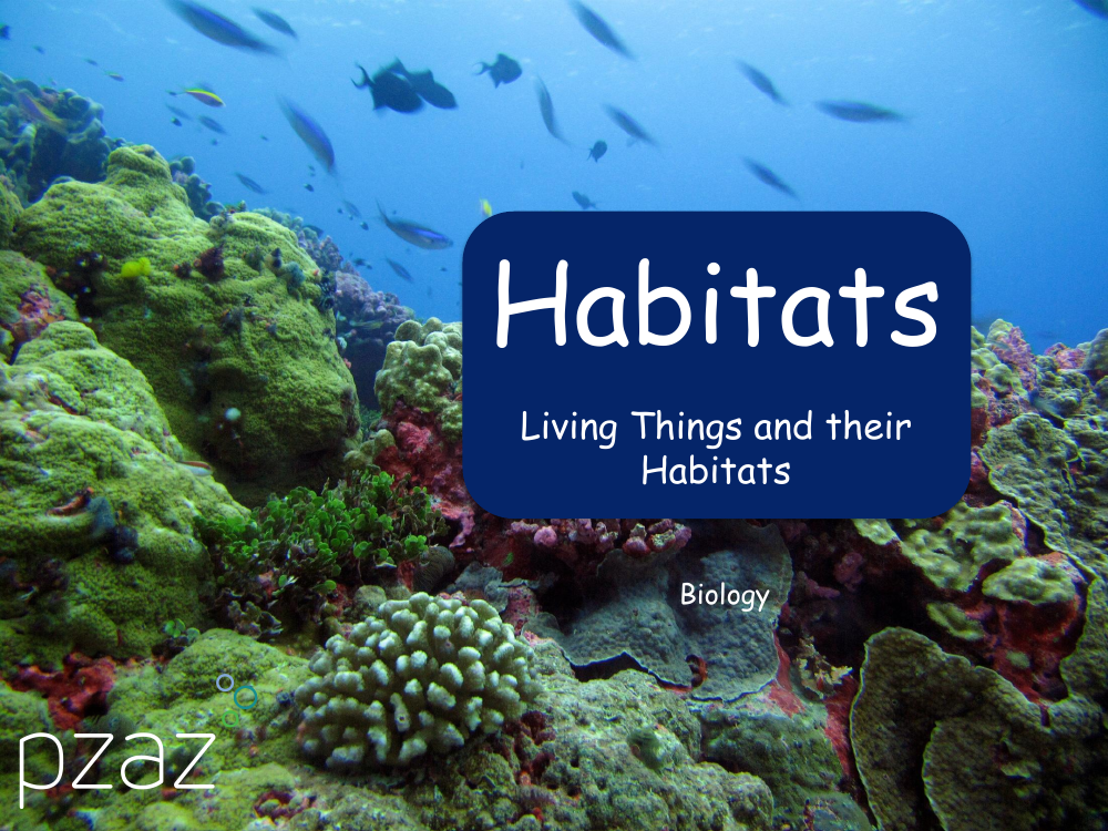 Habitats - Presentation