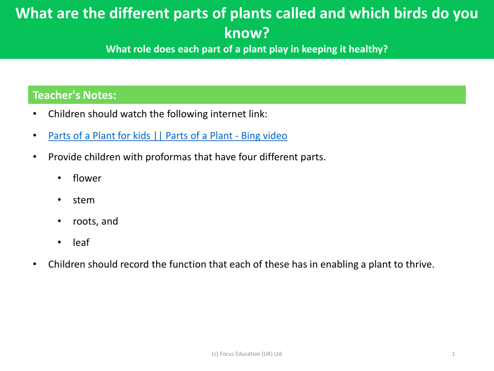 What role does each part of a plant play in keeping it healthy? - Teacher's Notes