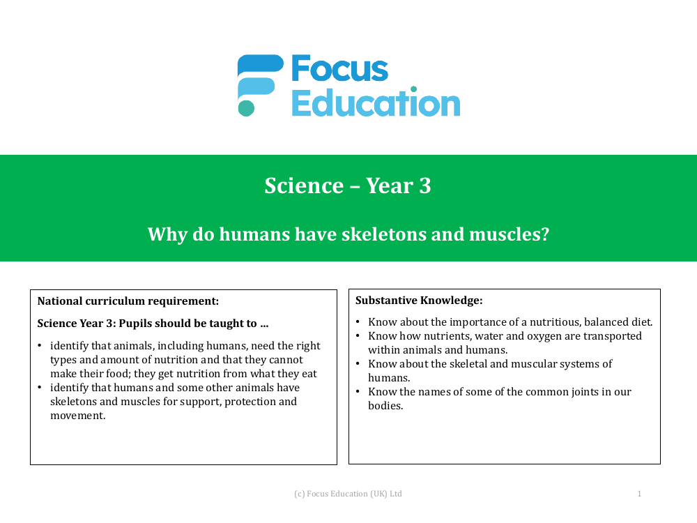 What are the names of the body parts associated with skeleton and muscles? - Presentation