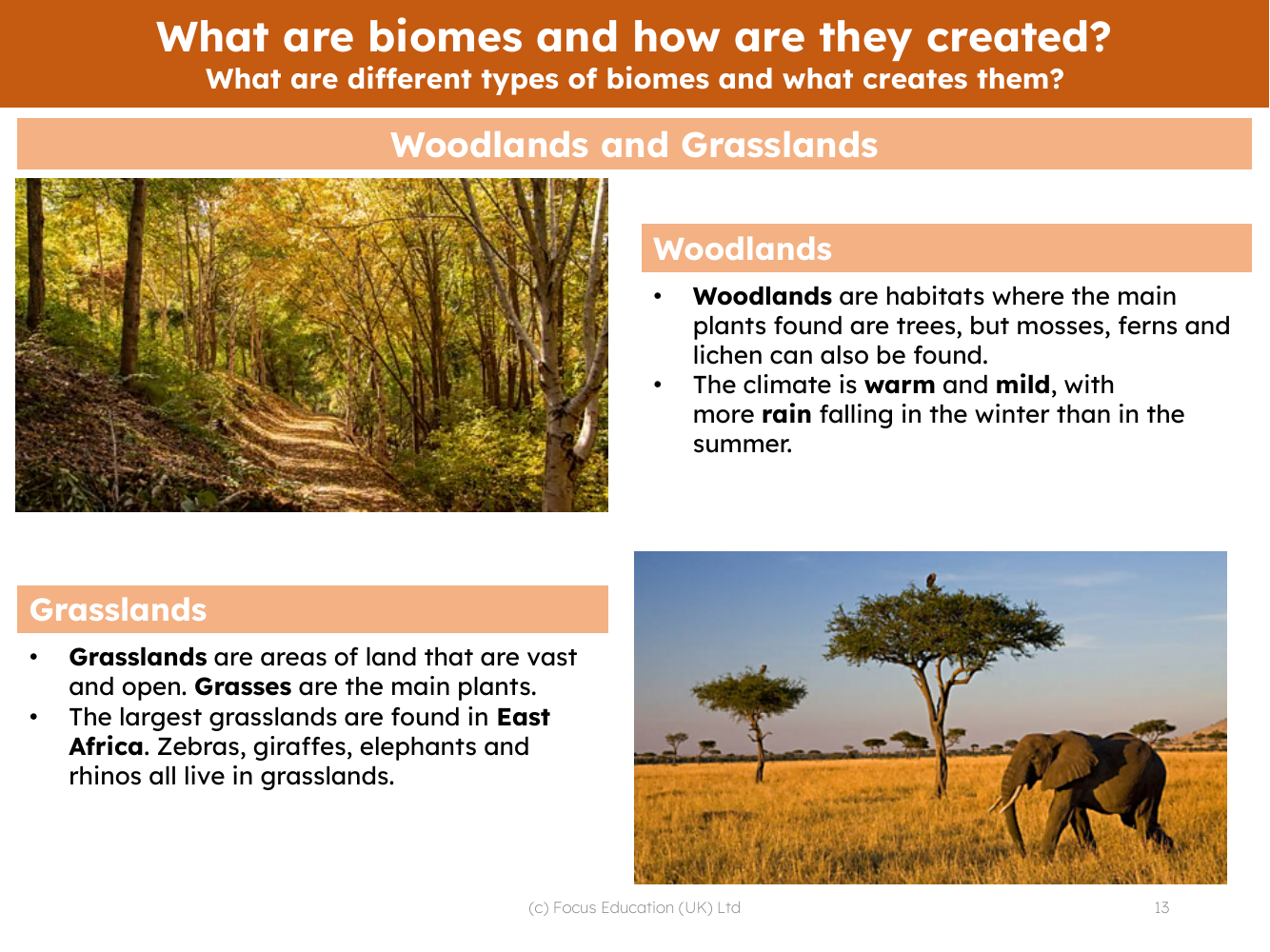 Woodlands and Grasslands - Info sheet