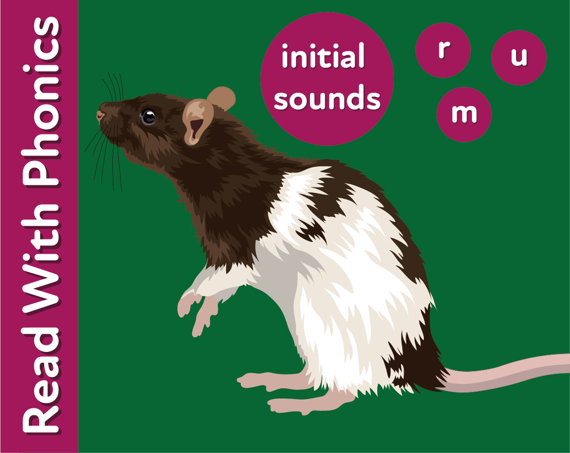 Learn The Initial Phonic Sounds 'r, m, u' (3 years +) - Teacher Notes