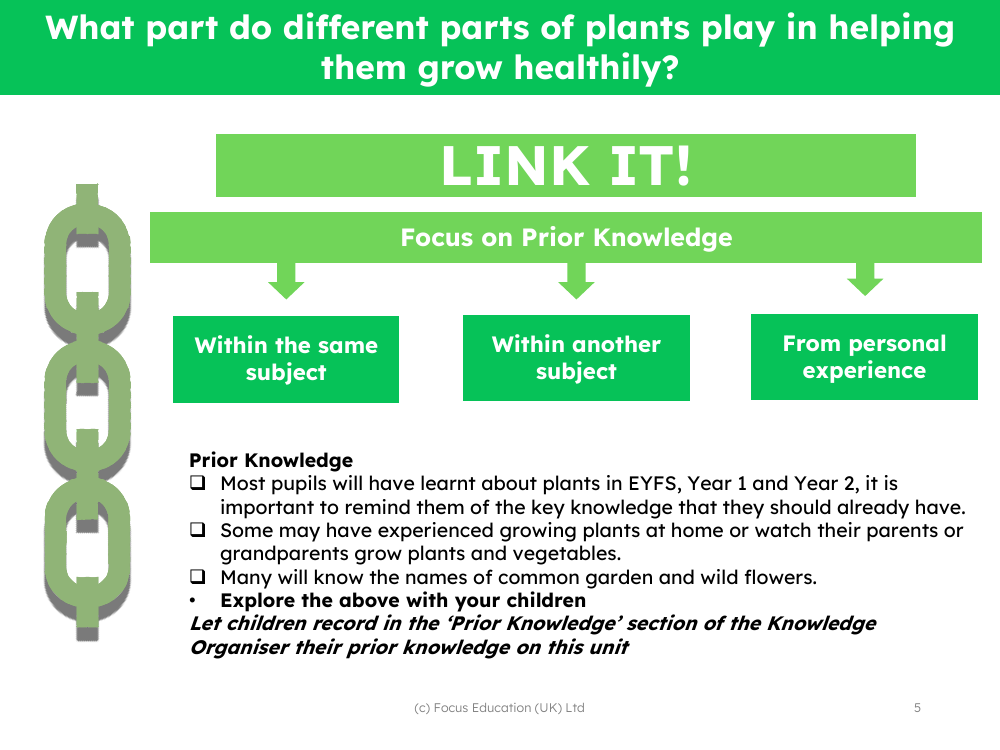 Link it! Prior knowledge - Plants - 2nd Grade