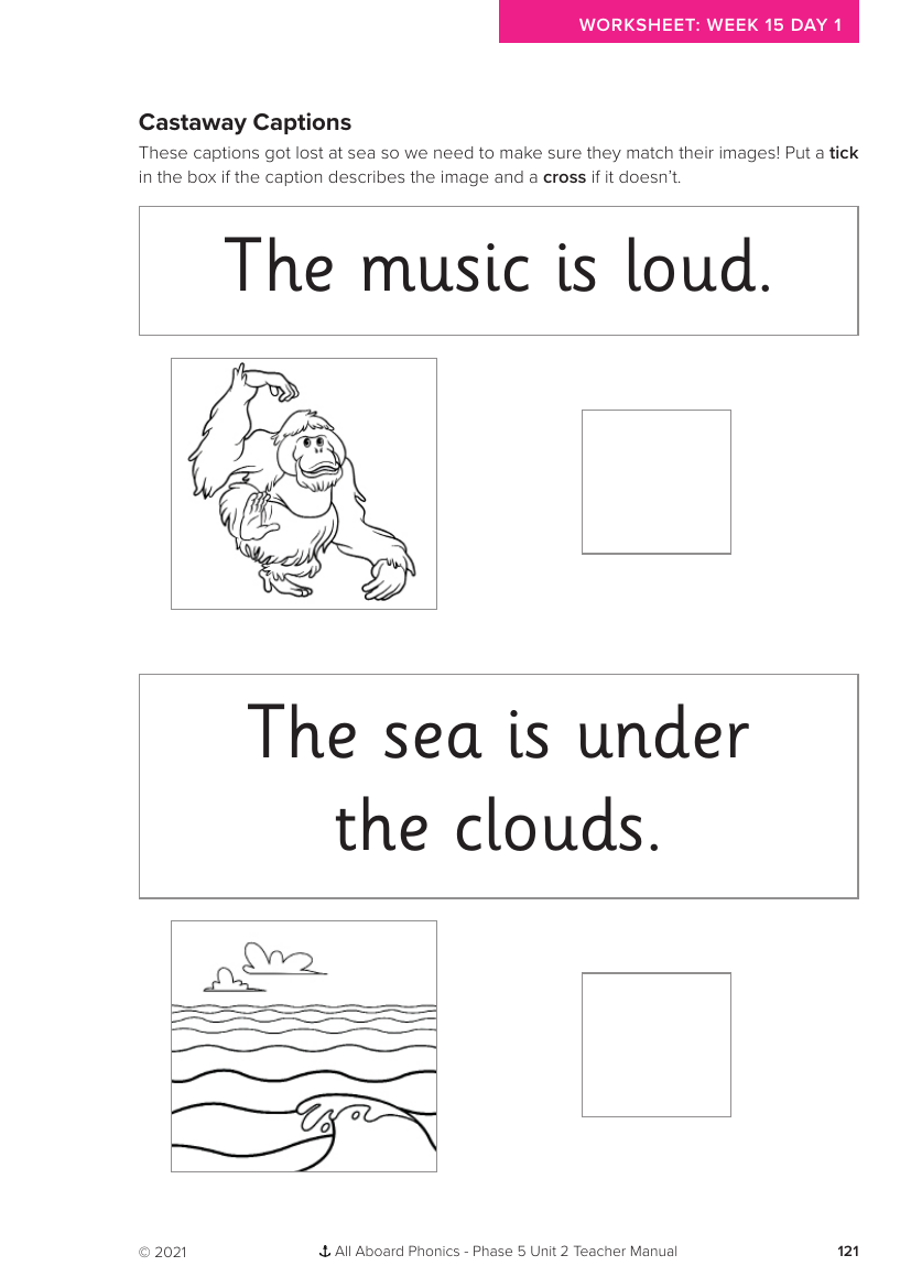 Week 15, lesson 1 Castaway Captions activity - Phonics Phase 5, unit 2 - Worksheet