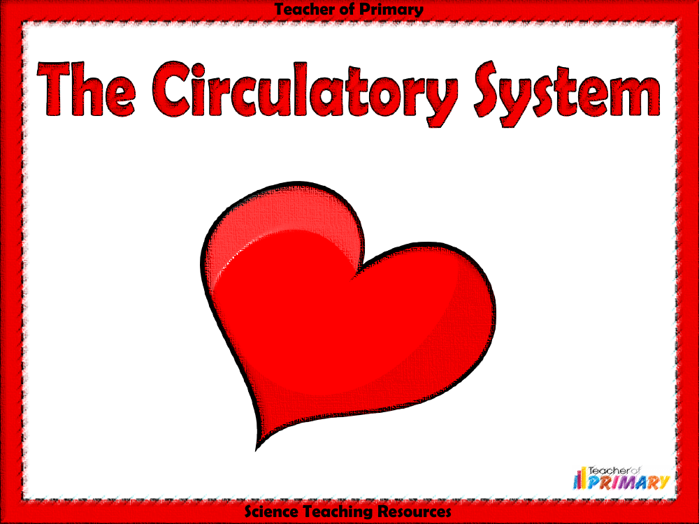 The Circulatory System - PowerPoint