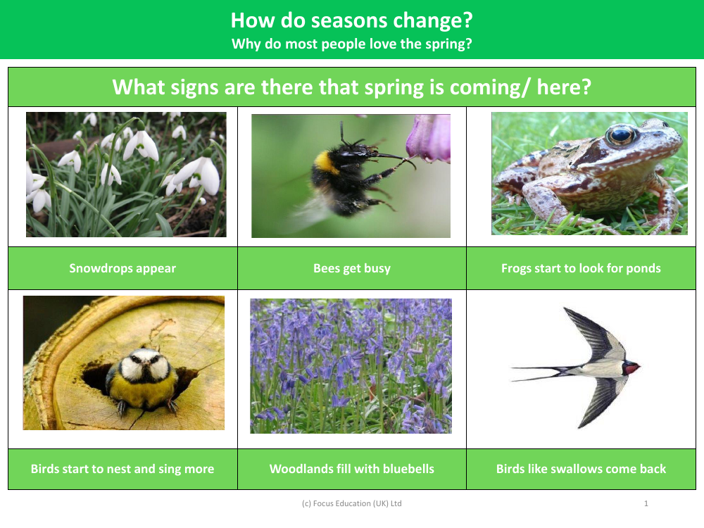 What signs are there that spring is coming/here? - Images - Year 1