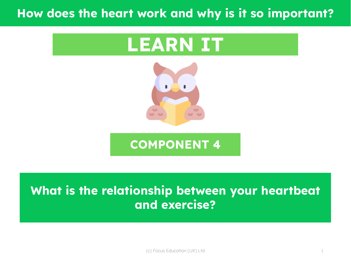 What is the relationship between your heartbeat and exercise? - Presentation