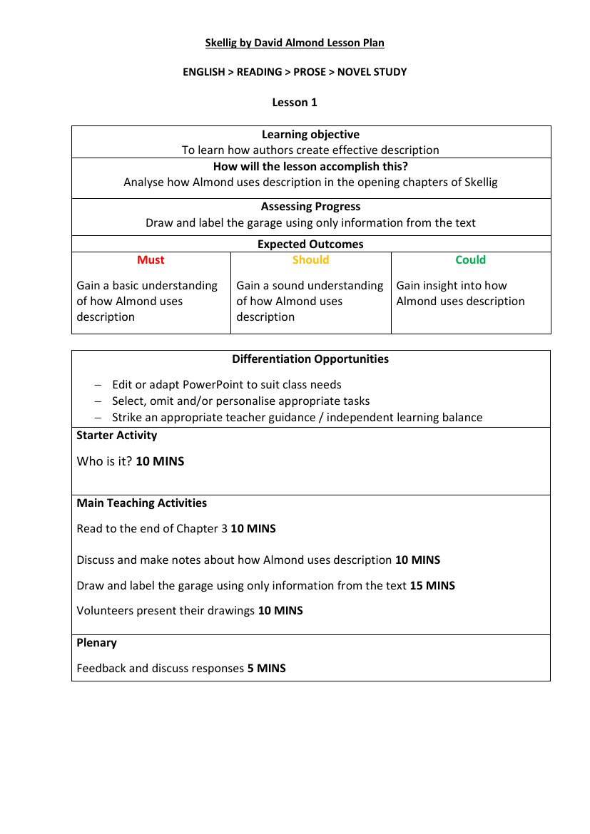 Skellig Lesson 1: Predictions and pre-reading - Lesson Plan