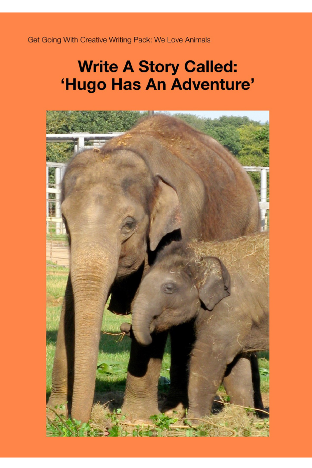 Write A Story Called 'Hugo Has An Adventure' (7-11 years) - Activity Pack