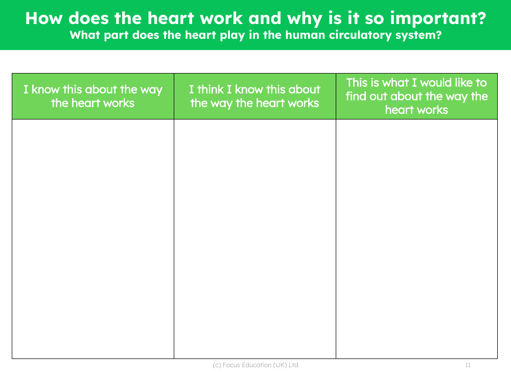 How the heart works - What I know - Worksheet