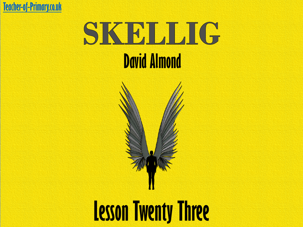 Skellig Lesson 23: Themes - PowerPoint