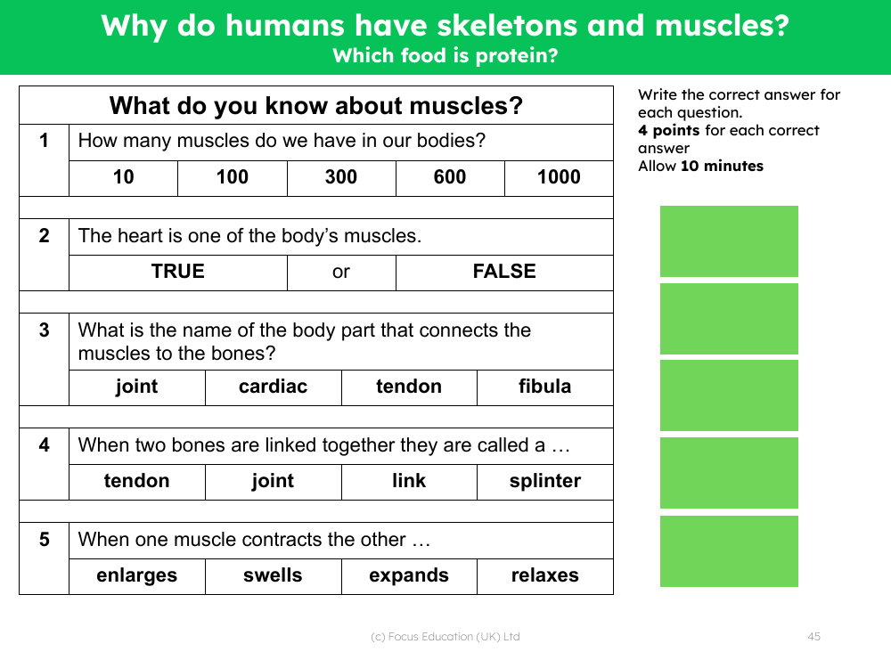 Mini quiz - Muscles