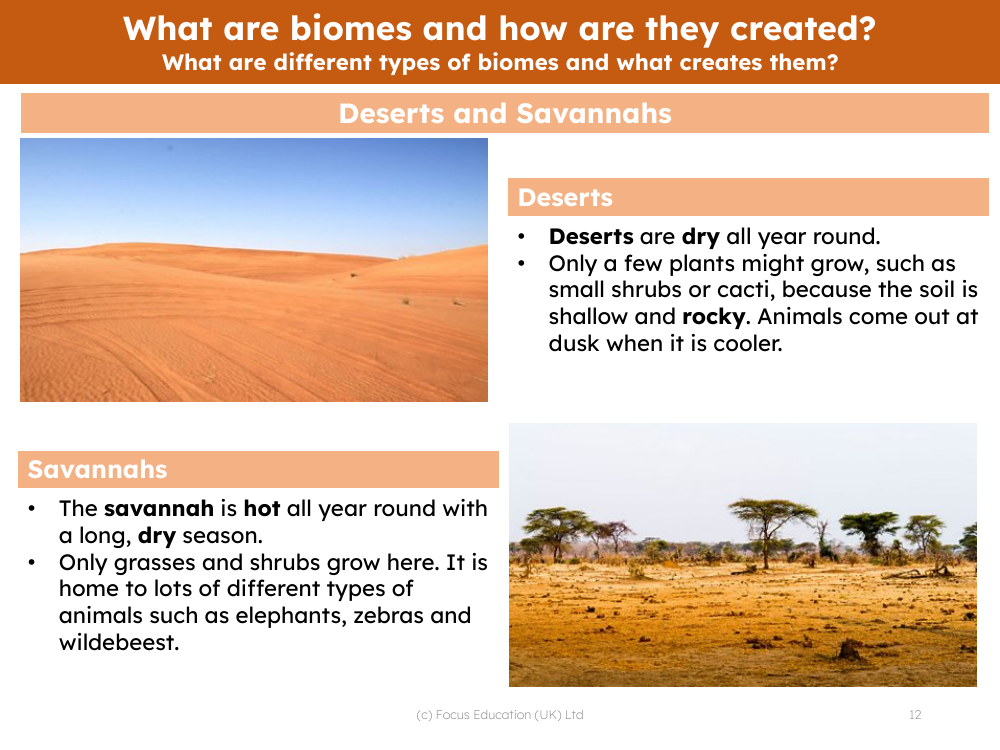 Deserts and Savannahs - Info sheet