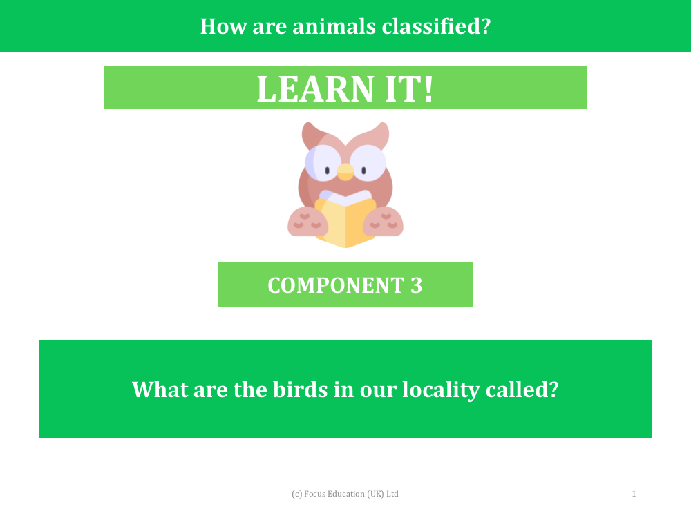 What are the birds in our locality called? - Presentation