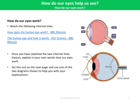 How do our eyes work? - Light - Year 6