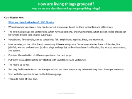Classification Keys - Grouping Living Things - Year 4