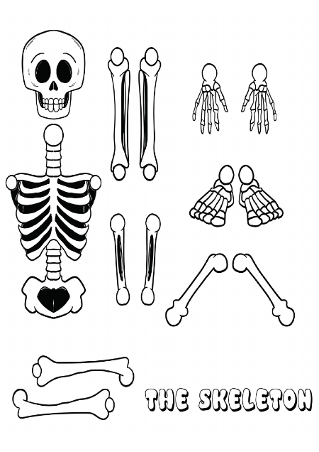 Split Pin Skeleton
