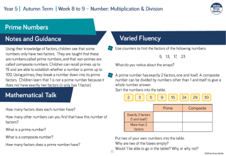 Prime numbers: Varied Fluency