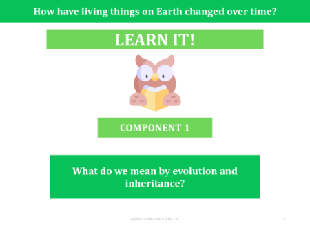 What do we mean by evolution and inheritance - presentation