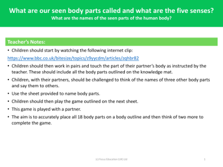 What are the names of the seen parts of the human body? - Teacher's notes