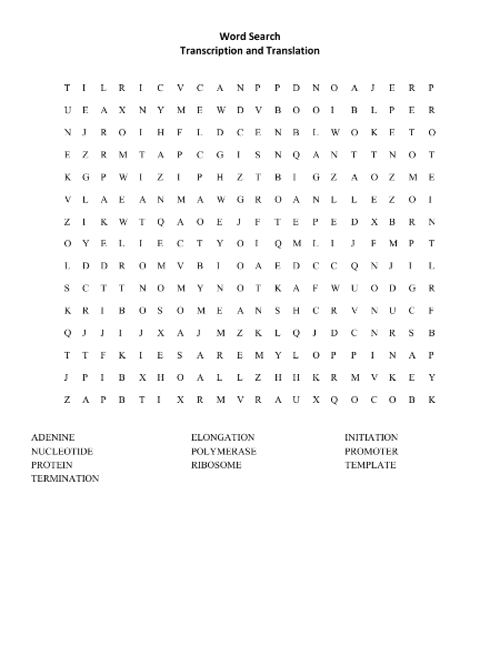 Transcription and Translation - Word Search