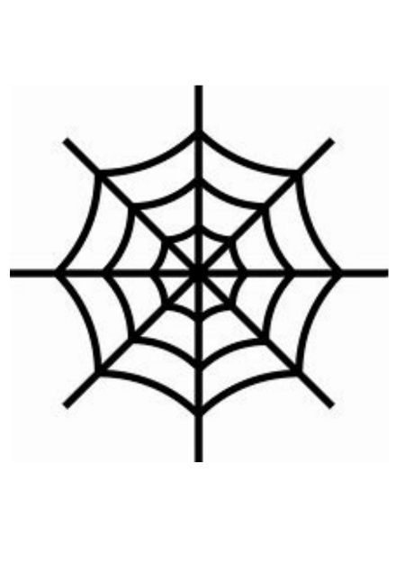 Bugs - Spider Web