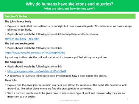 What are joints and how do they work? - Teacher notes
