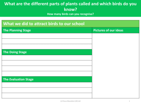 What we did to attract birds to our school - Worksheet - Year 1