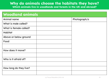 UK woodland animals fact file - Worksheet