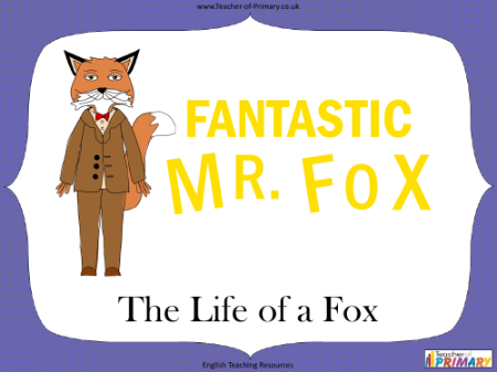 Fantastic Mr Fox - Lesson 6 - The Life of a Fox PowerPoint