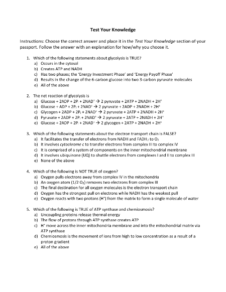 Cellular Respiration - Test your Knowledge