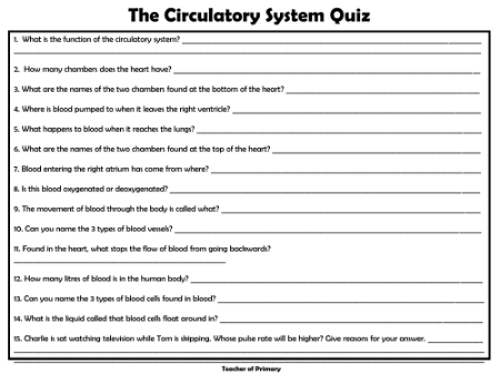 The Circulatory System - Worksheet