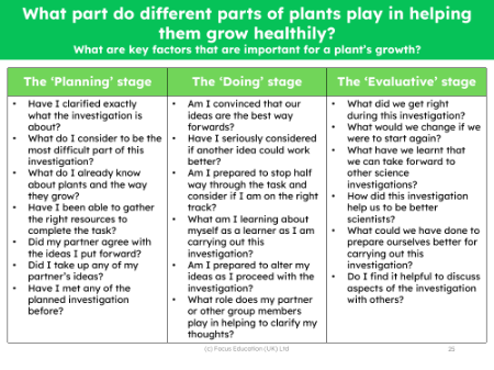 What do plants need to survive? - experiment - worksheet