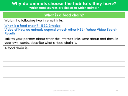 What is a food chain? - Worksheet