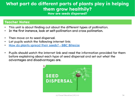 How are seeds dispersed? - teacher's notes