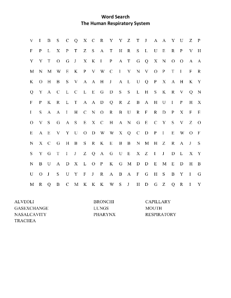 The Human Respiratory System - Word Search