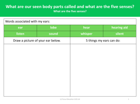 What are the five senses? - What can my ears do? - Worksheet