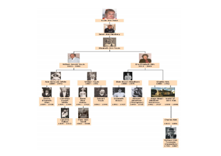 Biography and Autobiography - Lesson 3 - Family Tree Worksheet