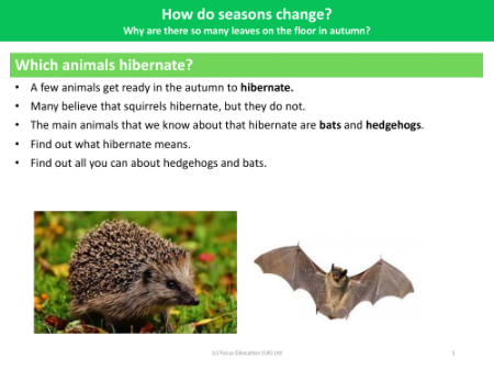 Which animals hibernate? - Seasonal Change - Year 1