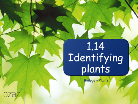Identifying Plants - Presentation