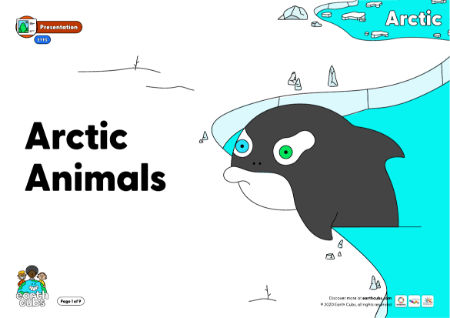 Arctic Animal Presentation