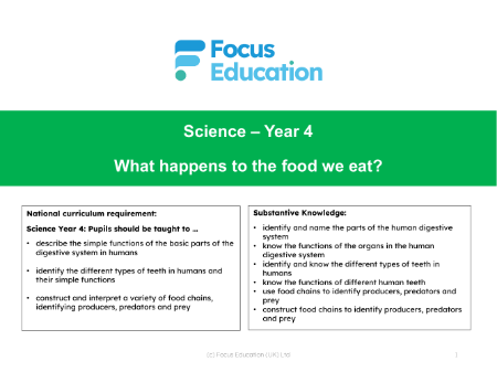 What are the parts of the digestive system called? - Presentation