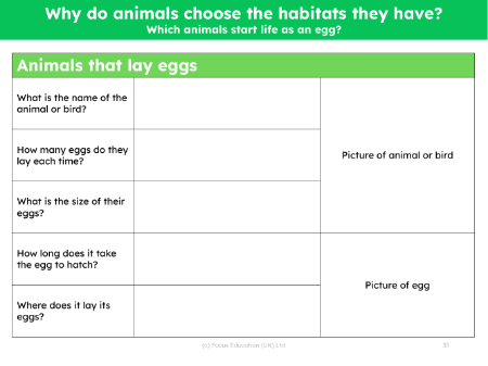 Animals that lay eggs fact file - Worksheet