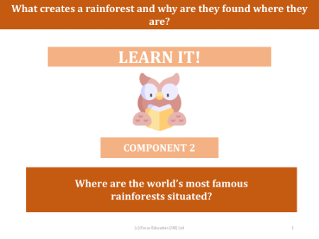 Where are the world's most famous rainforests situated? - Presentation