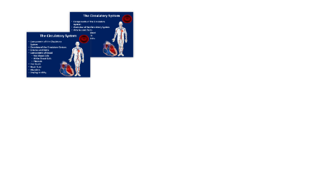 The Circulatory System - Middle School