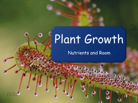 Plant Growth (Nutrients and Room) - Presentation