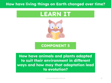 How have animals and plants adapted to suit their environment in different ways and how may that adaptation lead to evolution? -  presentation