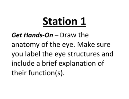 The Human Eye - Lab Station Cards