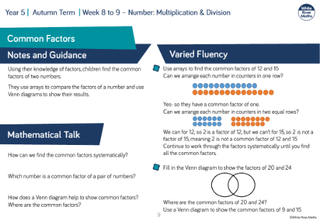 Common factors: Varied Fluency