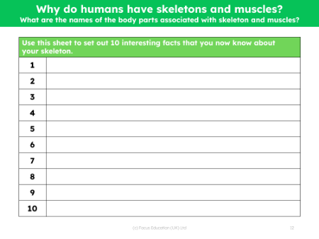 10 Interesting facts about your skeleton - Worksheet